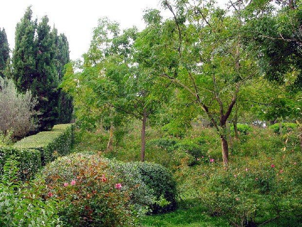 Giardini della Landriana