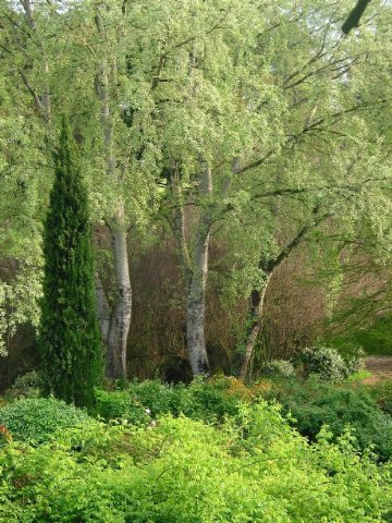 Giardini della Landriana