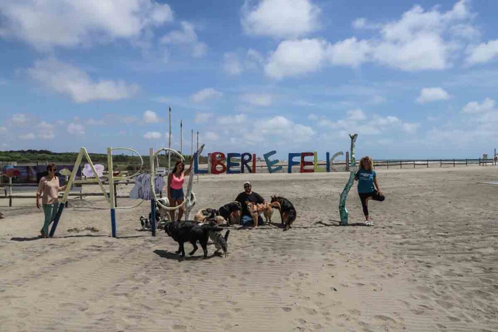 BAUBEACH: si riparte in armonia e voltando pagina!
