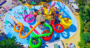 Zoomarine riapre il 17 Giugno: i primi 2 giorni i ragazzi under 16 entrano gratis