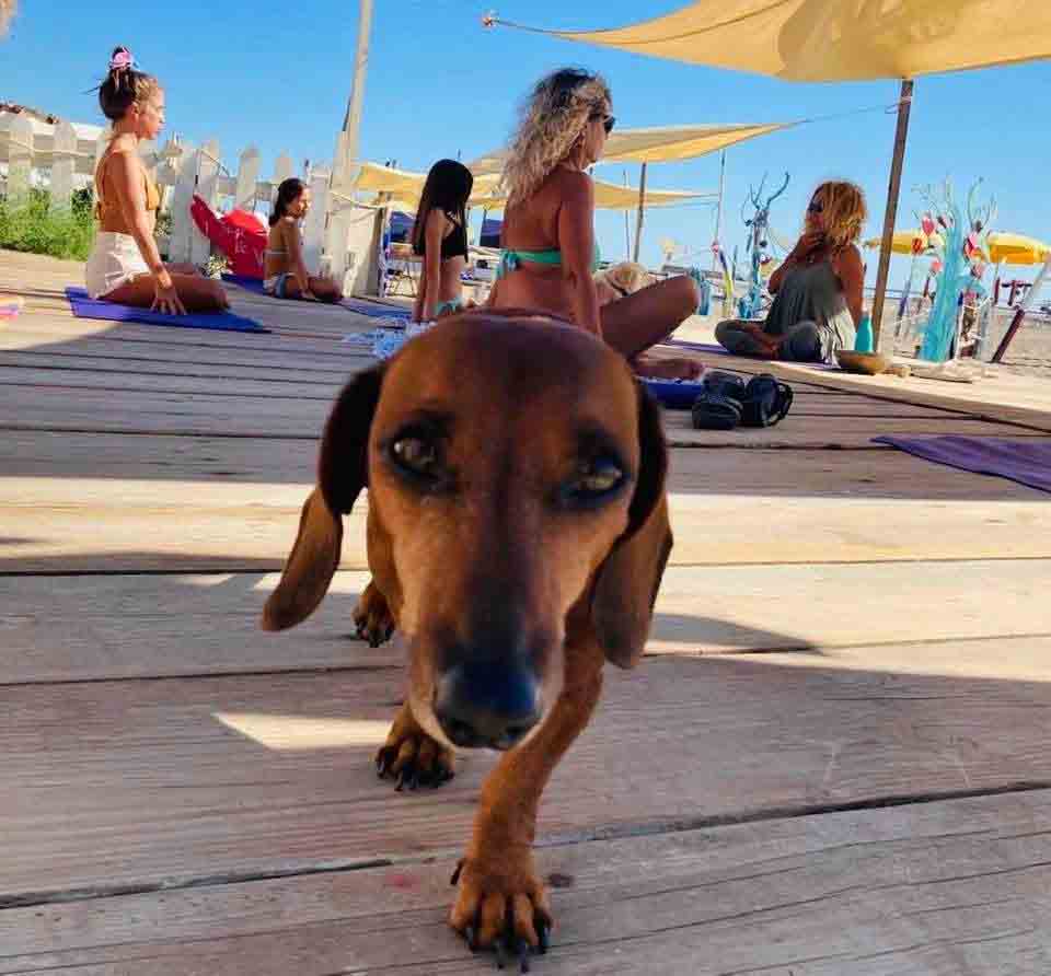 Festival dello Yoga al Baubeach tra Arte e Natura