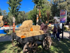 "Smaschera la tua paura". Halloween a Zoomarine