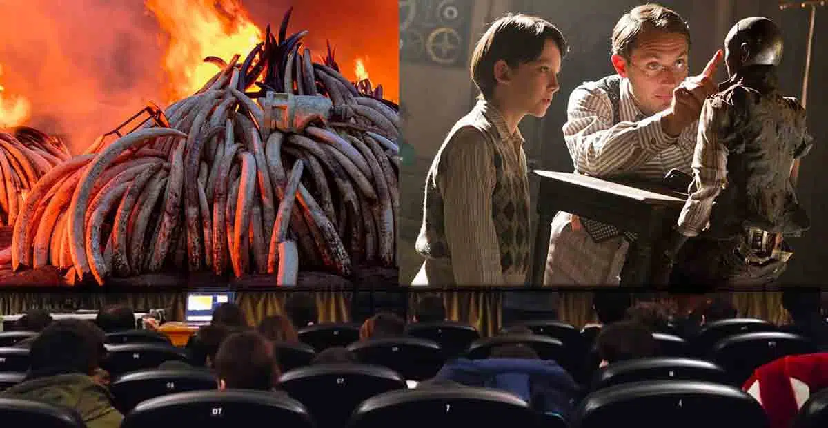 CINEPROF: gli appuntamenti di marzo nel Lazio