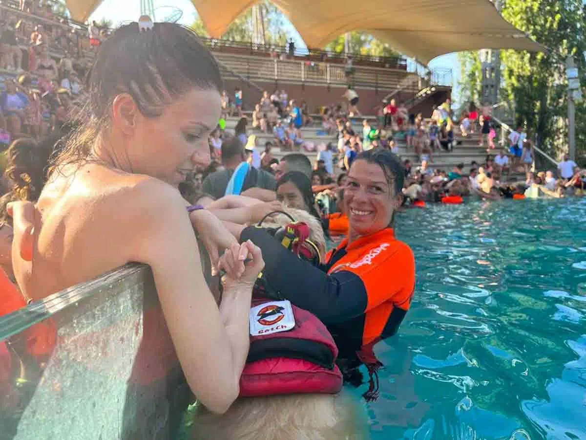 Eroi a 4 zampe salvano la vita sulle spiagge: a Zoomarine due giorni con i cani della Sics 4 Scuola Italiana Cani di Salvataggio a Zoomarine