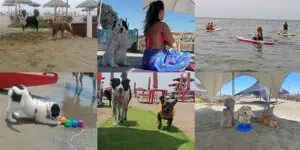 Dal 23 al 25 giugno al Baubeach® il FESTIVALBAU per i 25 anni di attività