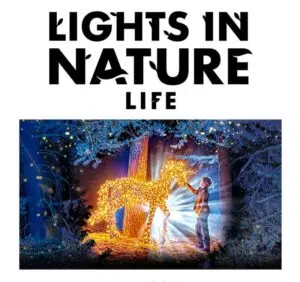 Lights in Nature Life - Giardini Brancaccio