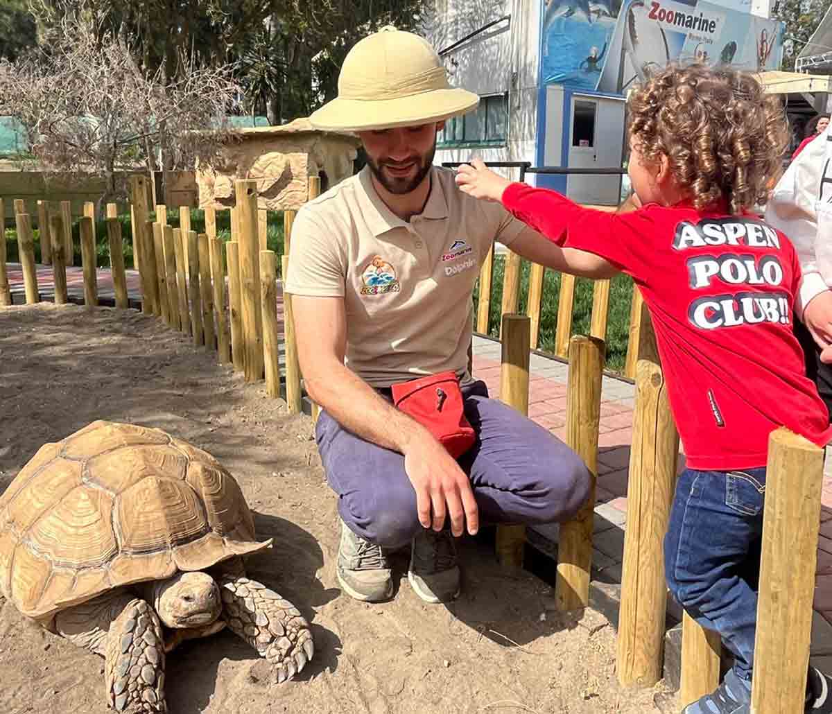 Zoomarine - Turtle Island