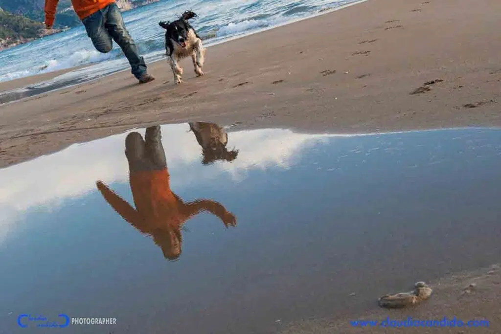 Baubeach®: Mostra “Dimensioni di Relazione” di Claudia Candido + presentazione del corso in Dog Management Turistico e Olistico