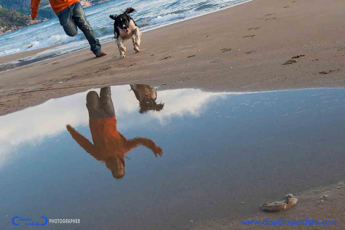 Baubeach®: Mostra “Dimensioni di Relazione” di Claudia Candido + presentazione del corso in Dog Management Turistico e Olistico