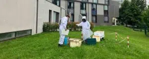 Giornata Internazionale per la Biodiversità: terza edizione di Bee Korian