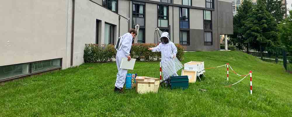 Giornata Internazionale per la Biodiversità: terza edizione di Bee Korian