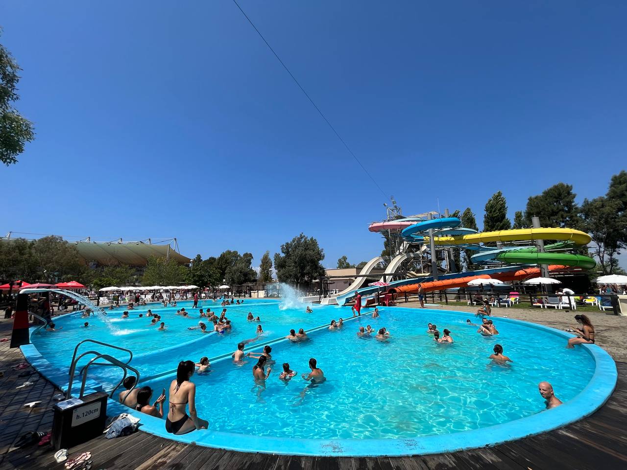 Giornata Mondiale degli Oceani a Zoomarine 3 Zoomarine - Parco Acquatico a Torvaianica