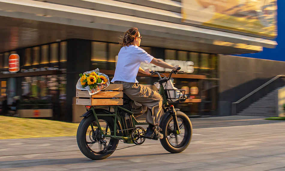 Quanto Costa Una Bici Elettrica Fat