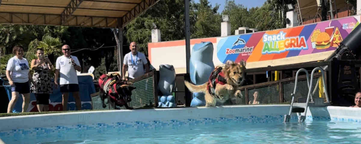 Sport a 2 e 4 zampe. A Zoomarine torna l'evento "Splash Dog" e una campagna per la sicurezza in acqua per i più piccoli