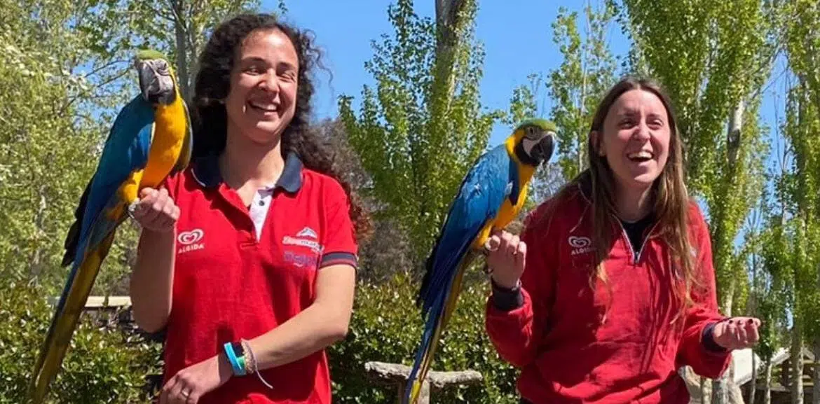 Un viaggio immersivo insieme ai veterinari, biologi, addestratori del parco Zoomarine