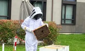 Tutela della biodiversità: quarta edizione di Bee Korian