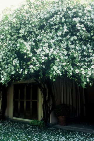 Giardini della Landriana