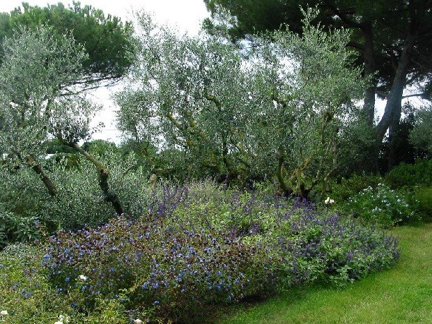 Giardini della Landriana