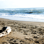 Ostia Lido 10