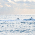 Ostia Lido 14