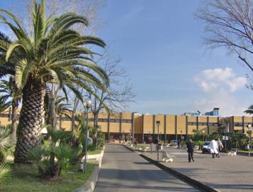 Categoria Directory 321 Ospedale Grassi di Ostia