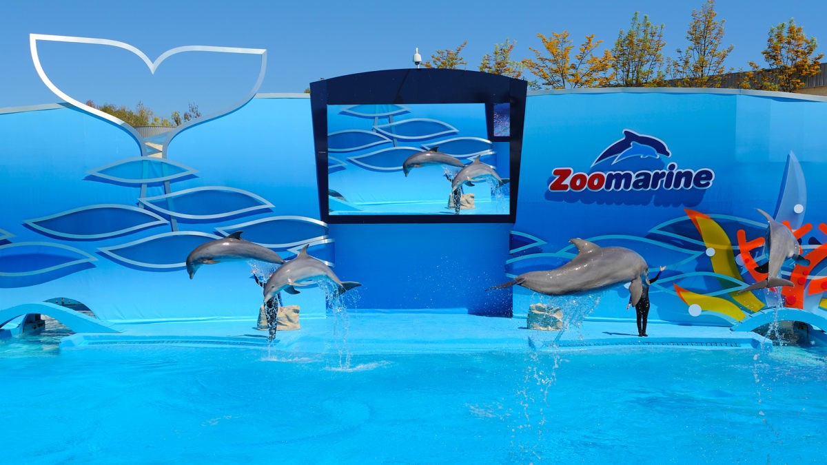 Zoomarine - Parco Acquatico a Pomezia