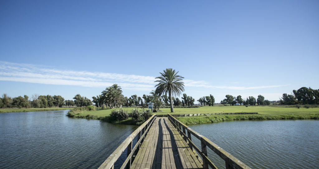 marediroma-golf-club-ardea-marina