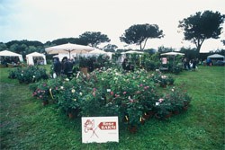 mostra mercato ai Giardini della Landriana