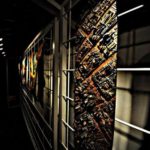 SK8 Like Canvas Vol.1 dal 15 al 25 Aprile a Roma 63