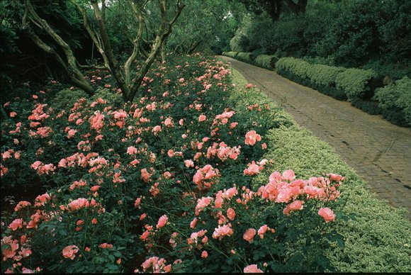 Giardini della Landriana