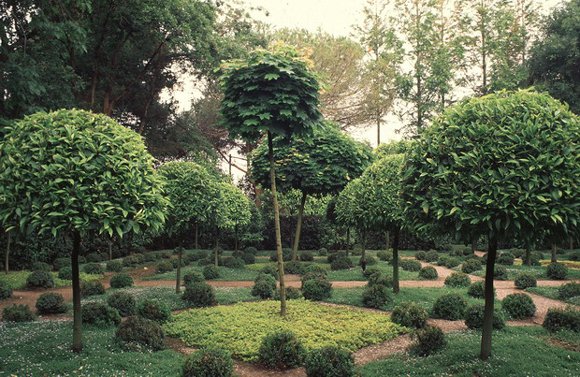 Giardini della Landriana