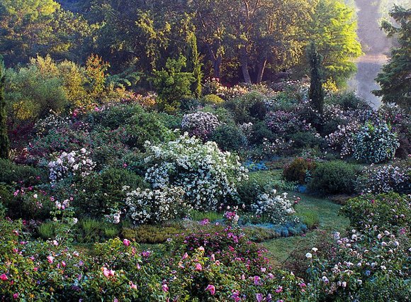 Giardini della Landriana