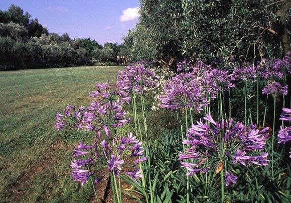 Giardini della Landriana