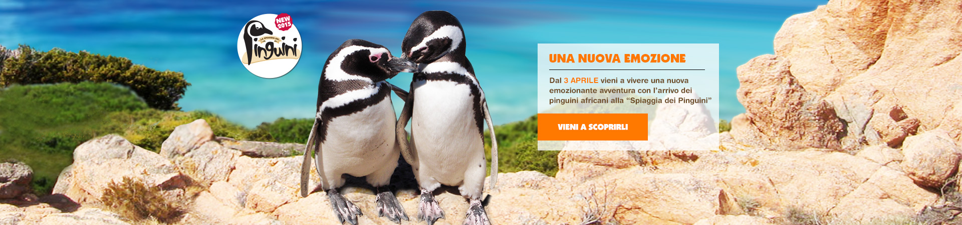 Colonia dei Pinguini africani