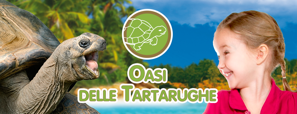Tartarughe giganti africane a Zoomarine