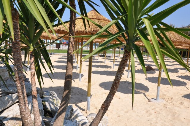 zoomarine_zoomarinebeach